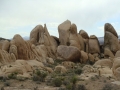 Joshua Tree NP